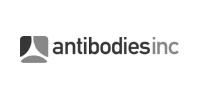 antibodies